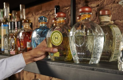 What Tequila Fans Need To Know About Sotol