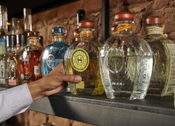 What Tequila Fans Need To Know About Sotol
