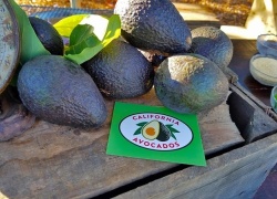 We Celebrated California Avocado Month with a Dinner en Green