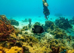 Underwater Adventures in Bonaire