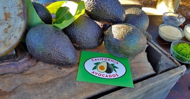 We Celebrated California Avocado Month with a Dinner en Green