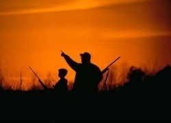 Father Son Trip Ideas: Cool Activities for a Father and Son To Do Together