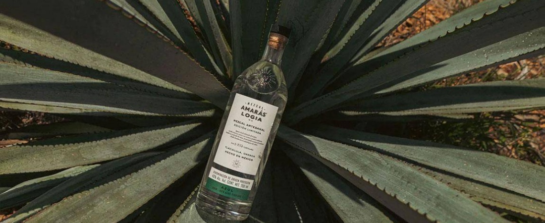 Mezcal Amaras Is Committed To Sustainably Produced Ancestral Mezcal 