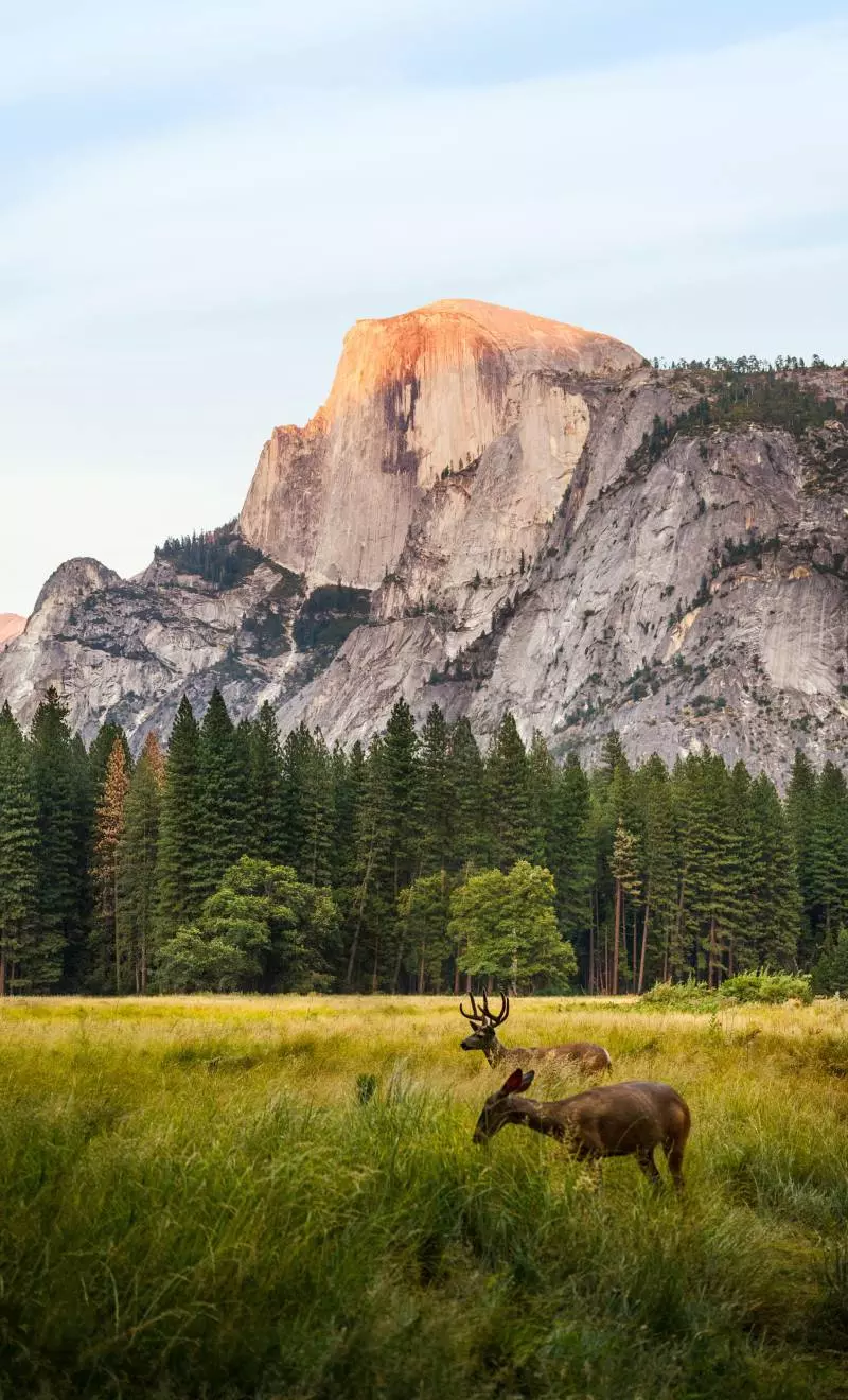 yosemite national park