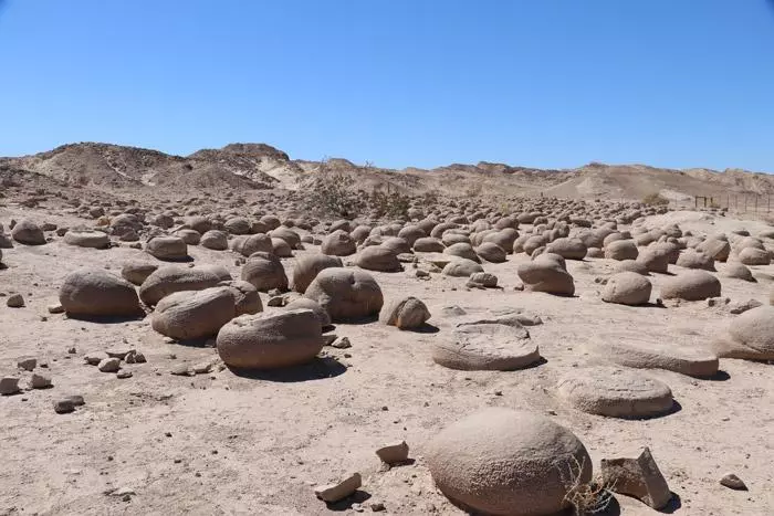 pumpkin patch anza borrego desert california