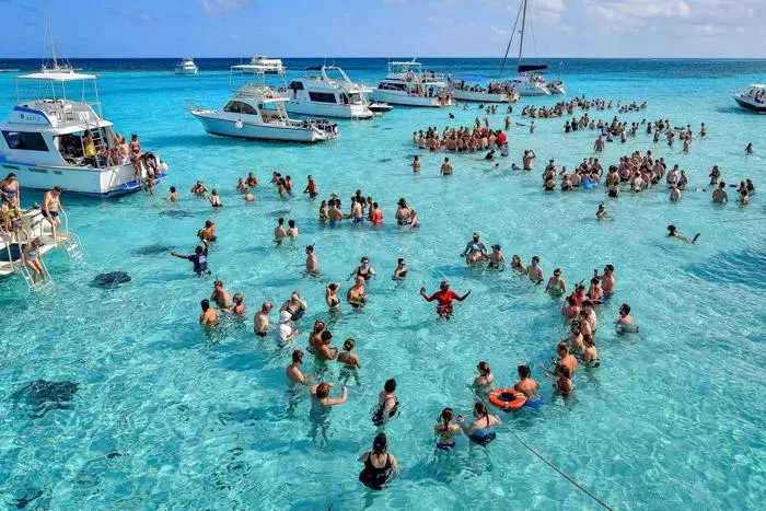 stingray city grand cayman islands