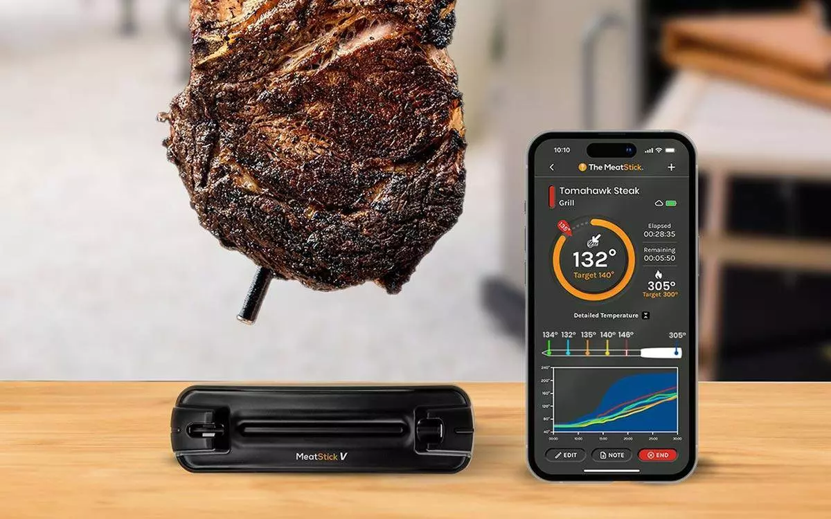 introducing the MeatStick V grilling thermometer