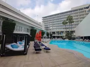 Beverly Hilton  pool in Beverly Hills
