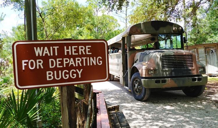 babcock swamp buggy tour