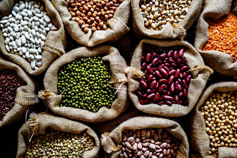 different kinds of beans high protein