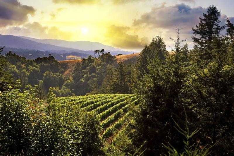 mendocino-wine-country-in-california