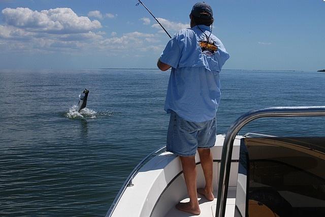 Tarpon fishing in Charlotte Harbor and Boca Grande Florida