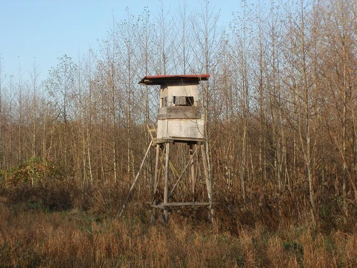 elevated deer hunting stand