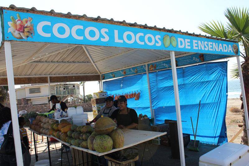 cocos locos stand