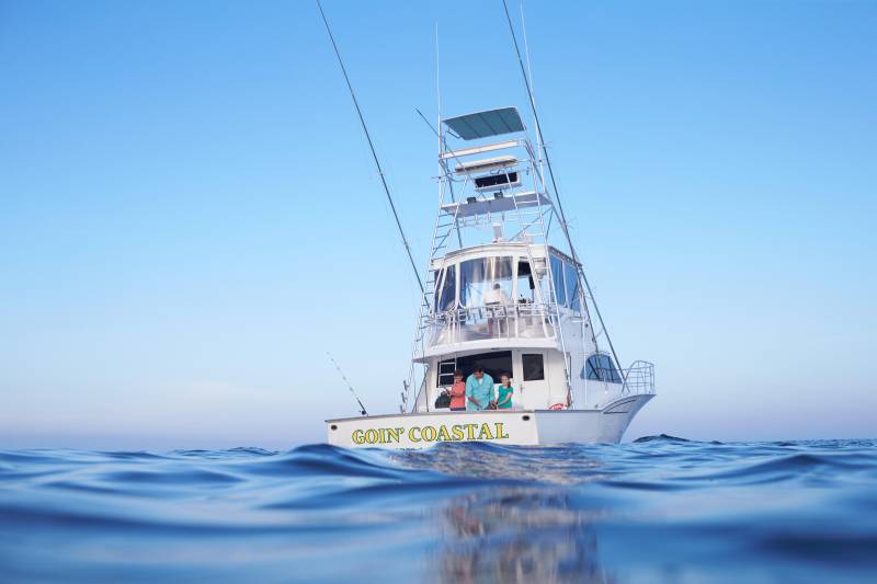fishing from gulf shores and orange beach 3 credit gulf shores orange beach tourism