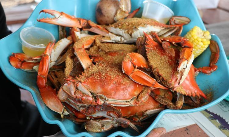 How To Eat Blue Crab And Not Miss An Ounce Of Crab Meat 