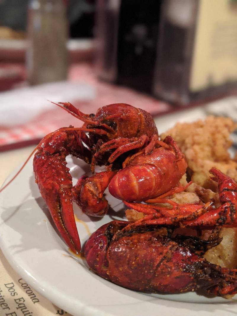 crawfish boil in Lafayette, Lousiana