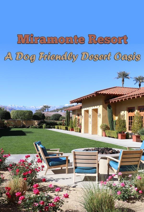 miramonte resort indian wells california is a fantastic dog friendly resort 
