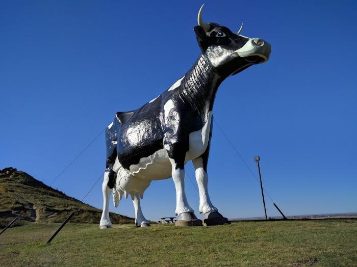 sue the largest holstein cow