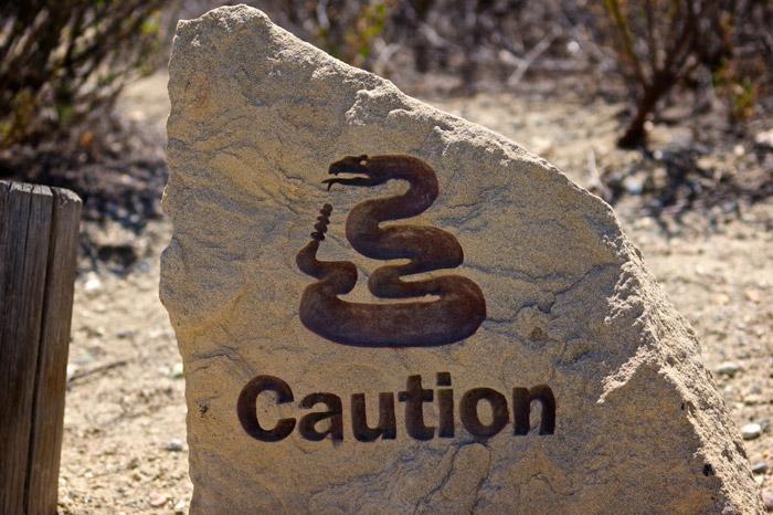 rattlesnake rattlesnakes yard proof sign keep away educate deal them grass