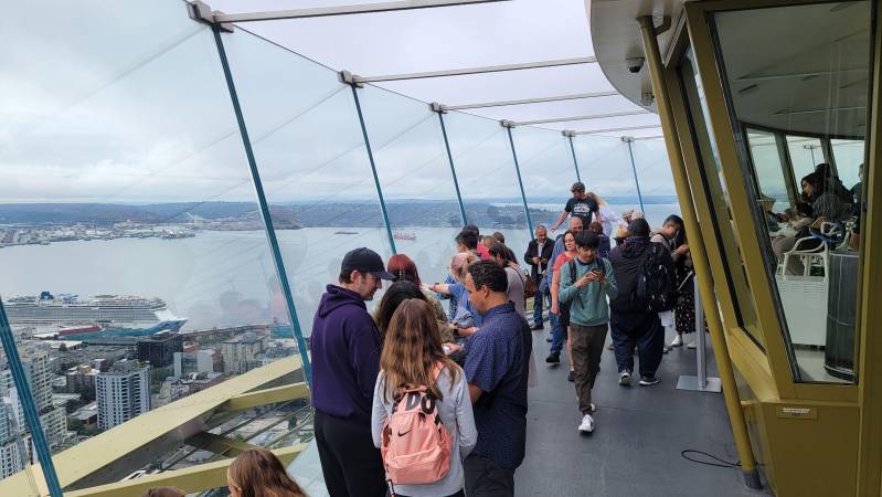 view of cruise ships from seattle space needle