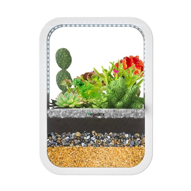 vegebox mini hydroponic growing system