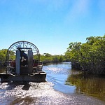 Wooten's Everglades airboat tours