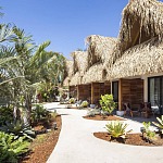 The Gilded Iguana Surf Hotel: Surfing, Adventure and Food in Nosara, Costa Rica Gilded Iguana Nosara