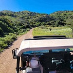 Catalina Island Hummer Tour