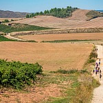 The Ultimate Solo Male Adventure: Walking the Camino de Santiago Walking the Camino de Santiago Solo