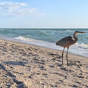 Englewood Beach in Punta Gorda Florida