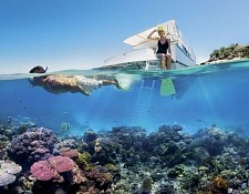 Snorkeling in the Great Barrier Reef