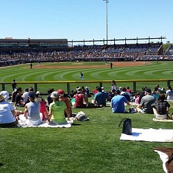 Spring Training Baseball Guide