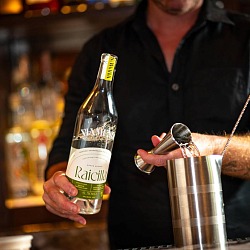 raicilla being used in a cocktail