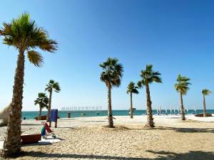 Abu Dhabi beaches